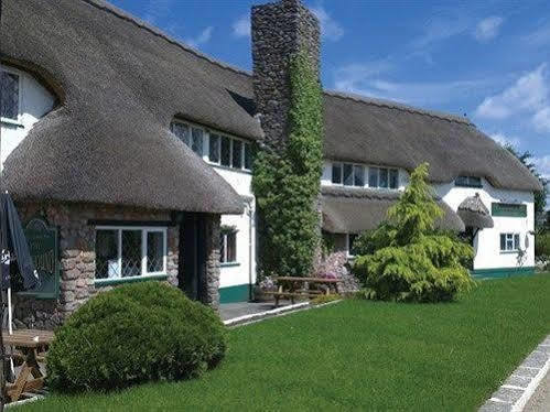 Bed & Breakfast Greyhound Country 3*